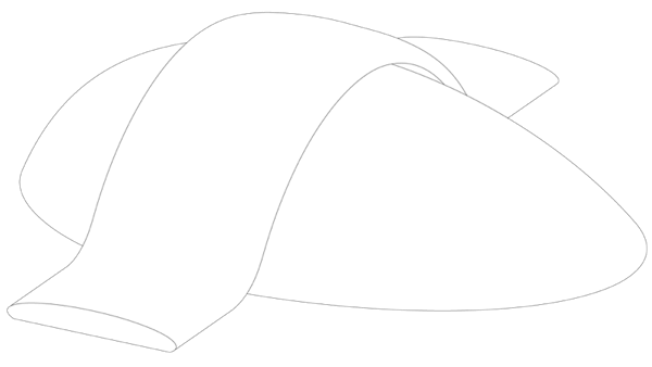 Axiometry image